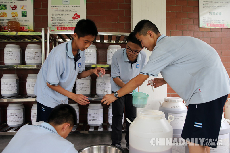 湖北宜昌夷陵區：生態環保教育進課堂